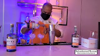 Lanzamiento de Reyka Vodka en Puerto Rico [upl. by Garvin]