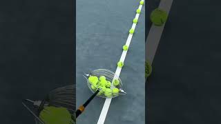 Ball Hawk Fast and Easy Tennis Ball Pickup smalleyes smallball tennisequipment catchball [upl. by Dragoon]