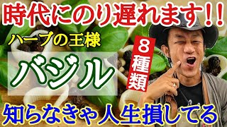 【今はバジル栽培でしょ】園芸店長が超絶人気のハーブ「バジル」を最近の品種を教えます。家庭菜園でのバジル栽培は超定番になります 初心者にも育て方を分かりやすく解説します japan garden [upl. by Iaria416]