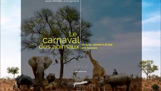 quotCarnival of the animalsquot for woodwind trio flute clarinet and bassoon by Camille SaintSaens [upl. by Haig]