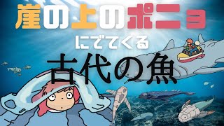 【裏設定考察】ポニョは人魚姫の話ではないかもしれない【古生物とジブリ】 [upl. by Nerrawed741]