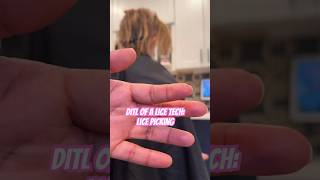 Lice removal services l lice picking l small business explore lice hair shorts [upl. by Gotthard266]