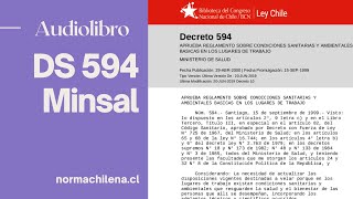 Audiolibro Decreto supremo 594 MINSAL [upl. by Ogdan327]