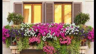 Decoración de Balcones con Flores [upl. by Salema]