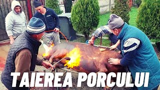 🐷 Taierea porcului de Craciun la Negreni in Arges ‼ [upl. by Westfall]