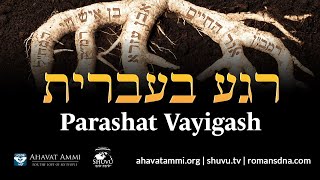 Regah Bivrit 5784 Shorashim Edition Vayigash [upl. by Aerdnac]