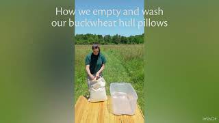 How we wash our buckwheat hull pillows [upl. by Analos]