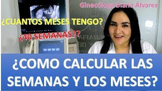 ¿CUANTOS MESES TENGO DE EMBARAZO ¿COMO CALCULAR SEMANAS POR GINECÓLOGA DIANA ALVAREZ [upl. by Ahsinam]