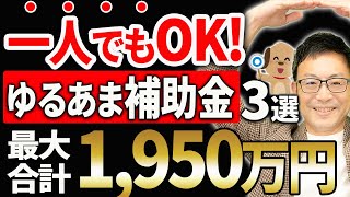 【合計最高額1950万円】一人でもOK！どんな業種でもOK！ハードルが低い補助金３選 [upl. by Greenberg]