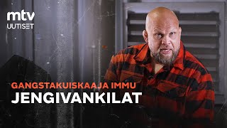 Jengivankilat I GANGSTAKUISKAAJA IMMU [upl. by Acebber]