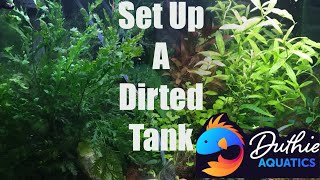 Dirted Aquarium For The Beginner [upl. by Cinimod895]