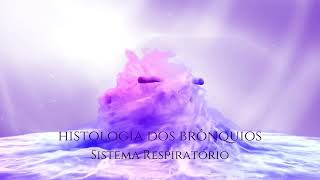 Histologia dos Brônquios [upl. by Cresida]