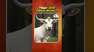 గోత్రం అంటే ఏమిటి Gothram Ante Emiti  Gothram Meaning in Telugu  ATV DEVOTIONAL [upl. by Ydaj]