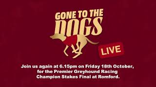 Promo for Romford Champion Stakes Final [upl. by Irolam]