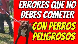 7 ERRORES FATALES que cometen los Dueños de PERROS PELIGROSOS [upl. by Ephraim703]