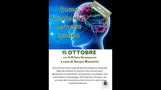 COME FUNZIONA IL CERVELLO UMANO [upl. by Attennhoj]