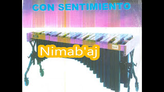 Mix de Sones con sentimientos de San Miguel BV  NBJ004 [upl. by Eymaj85]