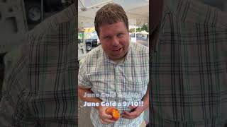 The BEST Super Early Peach Variety for YOUR Yard gardening viral farmersmarket fypシ゚ yummy [upl. by Calhoun]