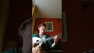 Yorkshire English folk song Cropper lads irishbouzouki greekbouzouki luddites [upl. by Euqinamod]