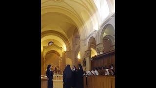 Benedictines of Mary Queen of Apostles  About Us [upl. by Eyks395]