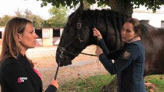 Tresser son cheval sans stresser   Equidia Life [upl. by Ainafets]