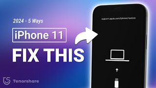 How to Fix iPhone 11 Stuck in Recovery Mode 2024  No Data Loss  5 Ways [upl. by Orlando]