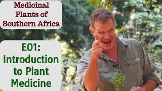 Medicinal Plants of Southern Africa E01 Introduction to Plant Medicine [upl. by Johannes701]