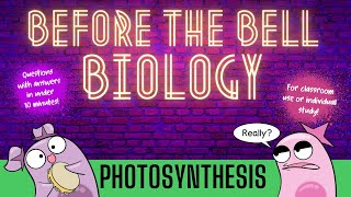 Photosynthesis Before the Bell Biology [upl. by Ajile943]