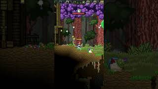 ALVEJADOS POR UM COGUMELO BIZONHO  Starbound [upl. by Sheffield382]