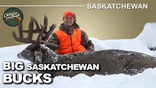 Late Season Deer Abundance in Saskatchewan  Canada in the Rough [upl. by Aslin]