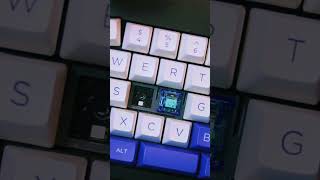 Azure Dragon V3 from Gateron sound test shorts keyboard gateron mechanicalkeyboard [upl. by Assenal]