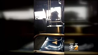 MTA Bus Driver Suspended After Video Shows Him In Violent Confrontation With Alleged FareBeater [upl. by Simmons]