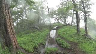 【ひとり登山部LOG】4 丹沢主脈縦走 蛭ヶ岳・丹沢山・塔ノ岳 霧と雨と霧雨と【HDRAS100V】 [upl. by Strauss]