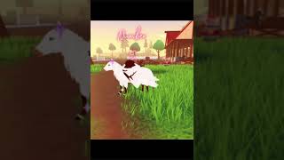 Who is your fav winged pony  horse life roblox  shorts [upl. by Nickelsen]