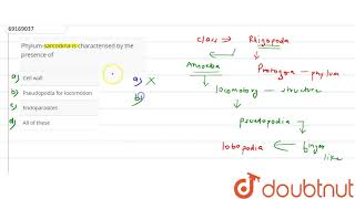 Phylumsarcodina is characterised by the presence of [upl. by Acimaj996]