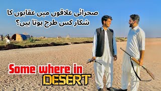 Eagle Hunting in Desert  Desert vlog  Sehra mai shikar [upl. by Den]