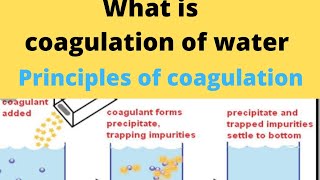 coagulationcoagulation of water treatmentcoagulation of water treatment in Hindi [upl. by Olsson27]