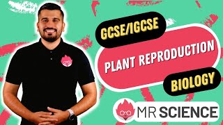 Plant Reproduction  Flower anatomy  GCSE  IGCSE Biology  Mr Science in 8K [upl. by Avehsile]