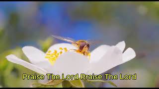 Best Morning Worship Songs Top Praise And Worship Song Christian Music Worship Songs With L [upl. by Audun287]