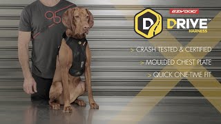 EzyDog Quick Fit Dog Harness [upl. by Trixi]