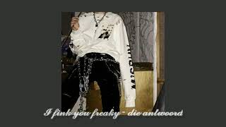 I fink you freaky  Die Antwoord slowed  reverb  bass boosted [upl. by Kaule]