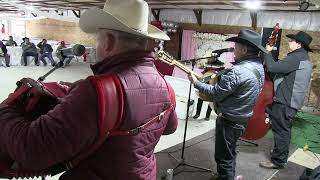 Mi Pueblo Querido Polvo Maldito El Gato Negro  Galan Norteño  Musica Norteña con Tololoche [upl. by Lagiba]