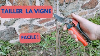 Comment TAILLER la VIGNE très FACILE [upl. by Delaryd928]