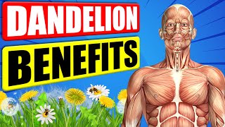 DANDELION BENEFITS  12 Impressive Health Benefits of Dandelion [upl. by Ekoorb955]