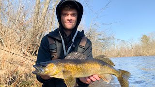 Walleye River Fishing FROM SHORE Tips [upl. by Akinuahs901]