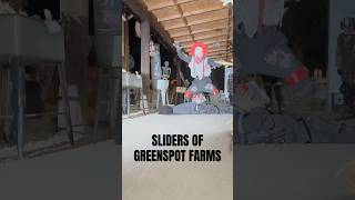 SLIDERS of Greenspot Farms Haunt 🤡 [upl. by Meill]