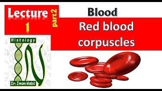 1bHistology of red blood corpuscles [upl. by Gabriele]