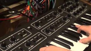 Prophet 600 Gligli [upl. by Gina]