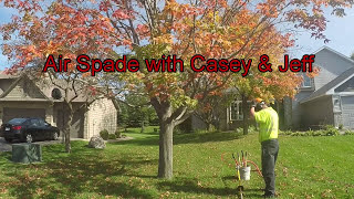 Air Spade Work on a Maple with Girdling Roots [upl. by Iolanthe]