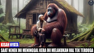 BIKIN MERINDING Kisah Nenek Tua Yang Hidup Dengan Seekor Kera Raksasa Di Hutan [upl. by Ahsitul]